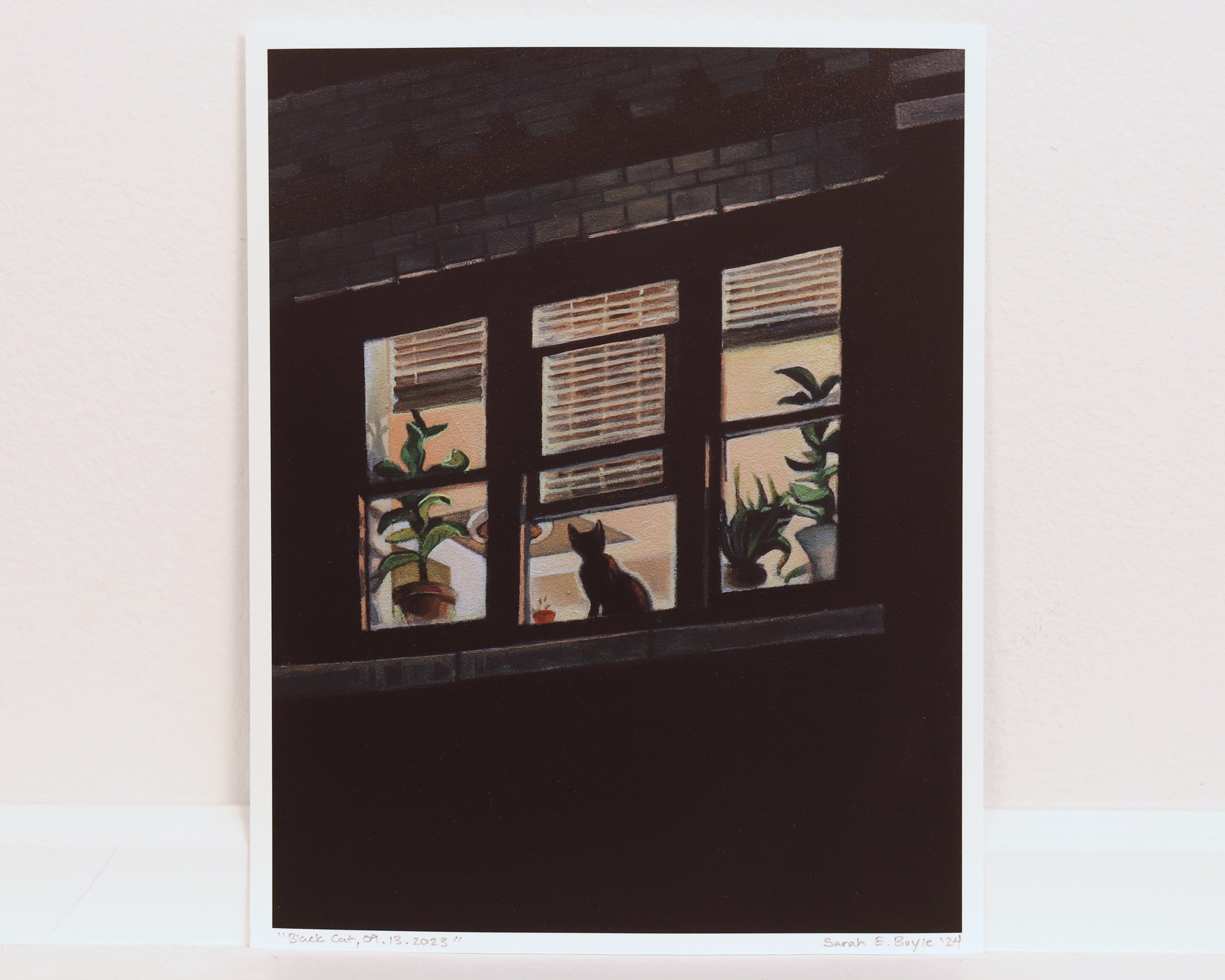 Black Cat, Shop Photo 01.jpeg