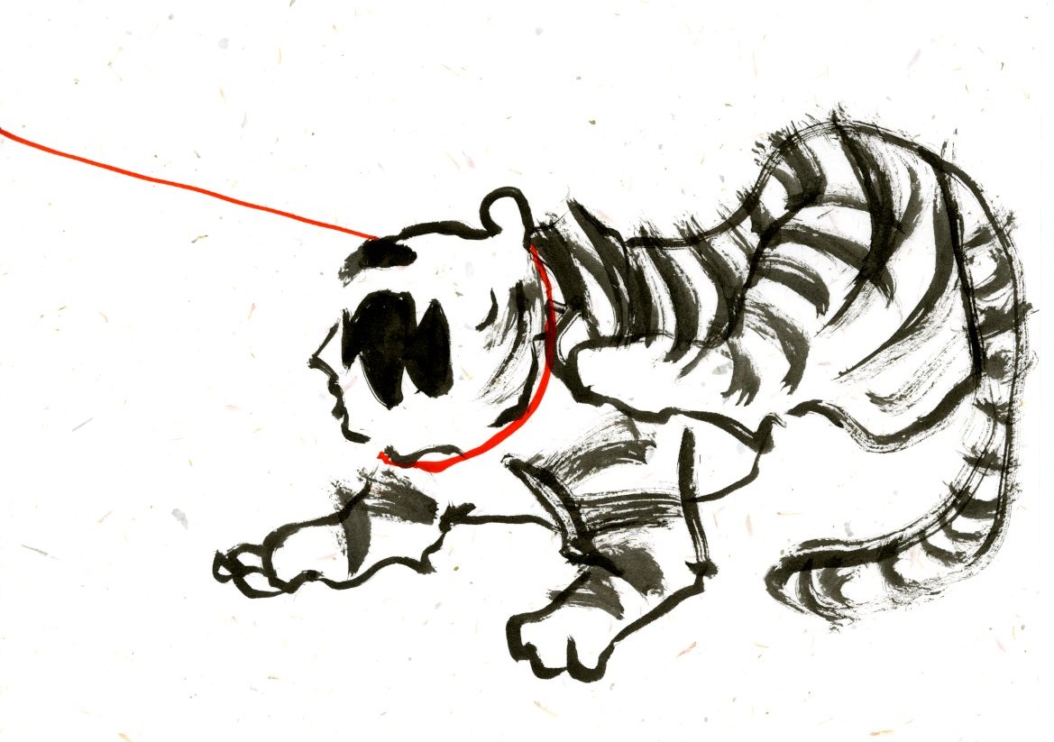 tiger015a.jpg