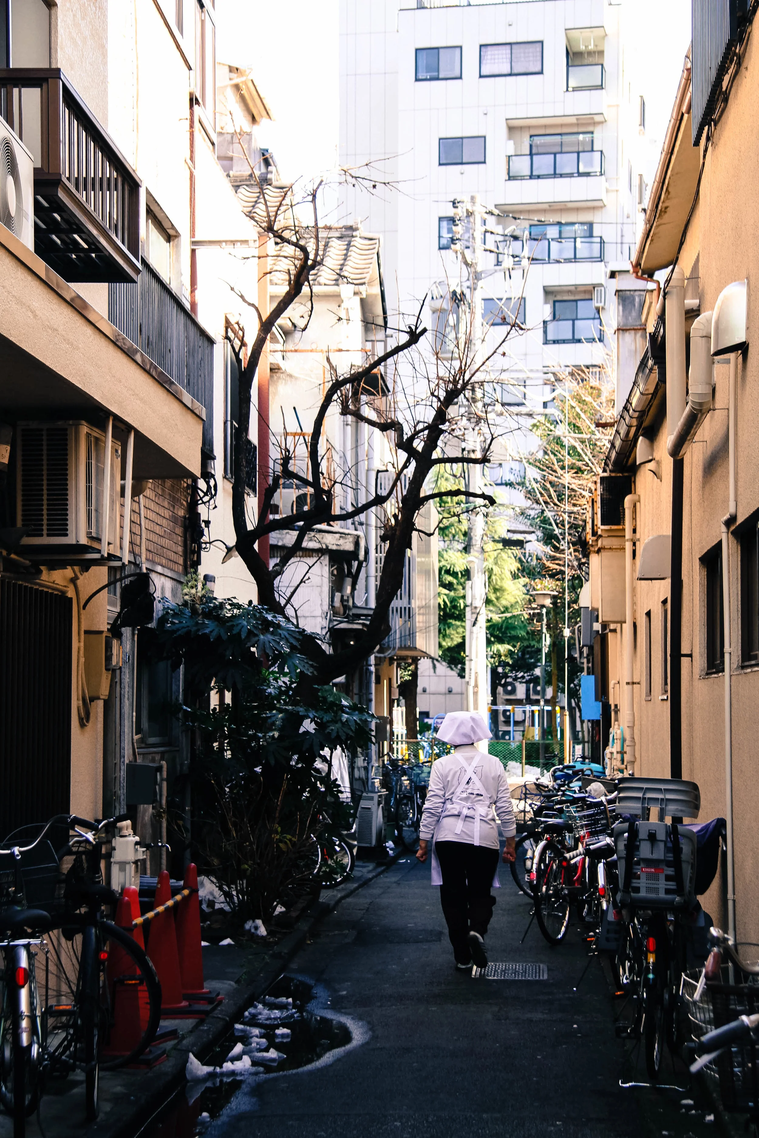 japan_asakusa2.jpg