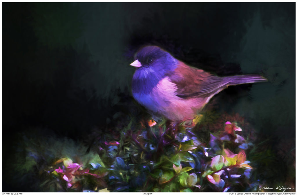  click on image to view in lightbox format