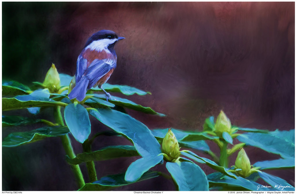  click on image to view in lightbox format