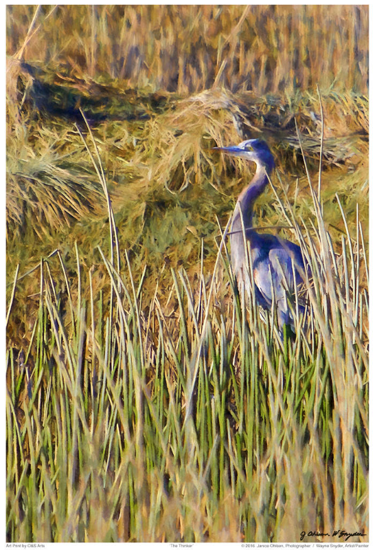  click on image to view in lightbox format