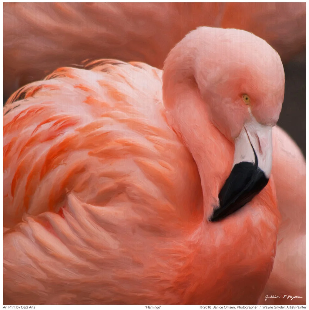  click on image to view in lightbox format