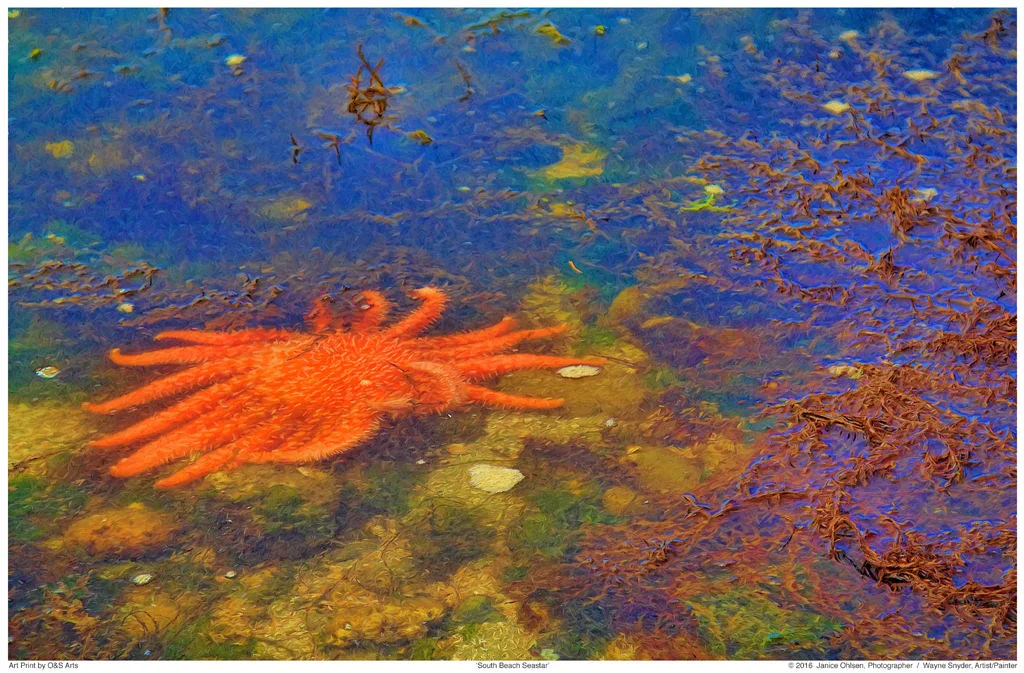  click on image to view in lightbox format