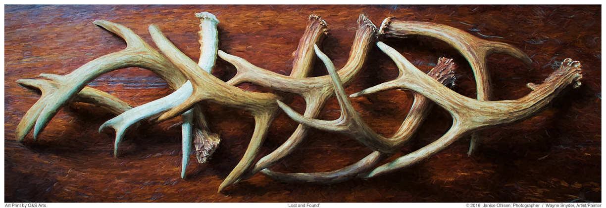  click on image to view in lightbox format