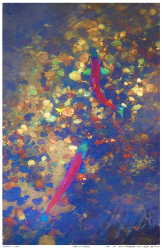 click on image to view in lightbox format
