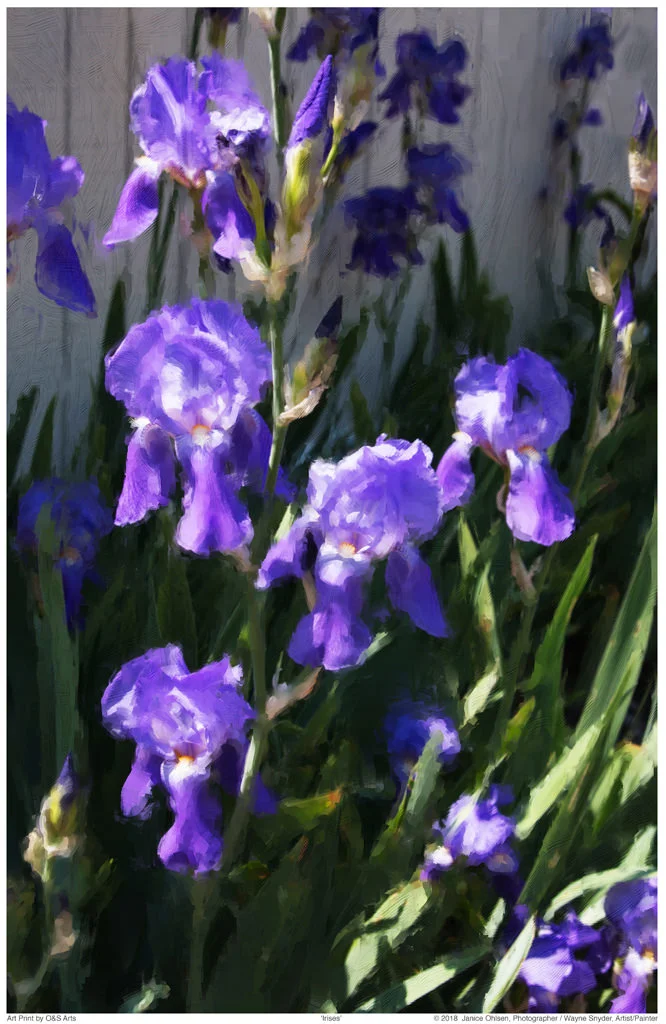 click on image to view in lightbox format
