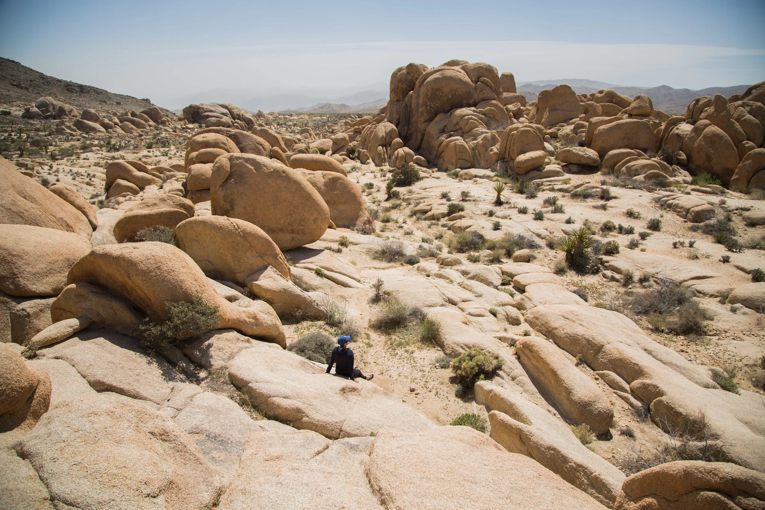 Joshua Tree, California