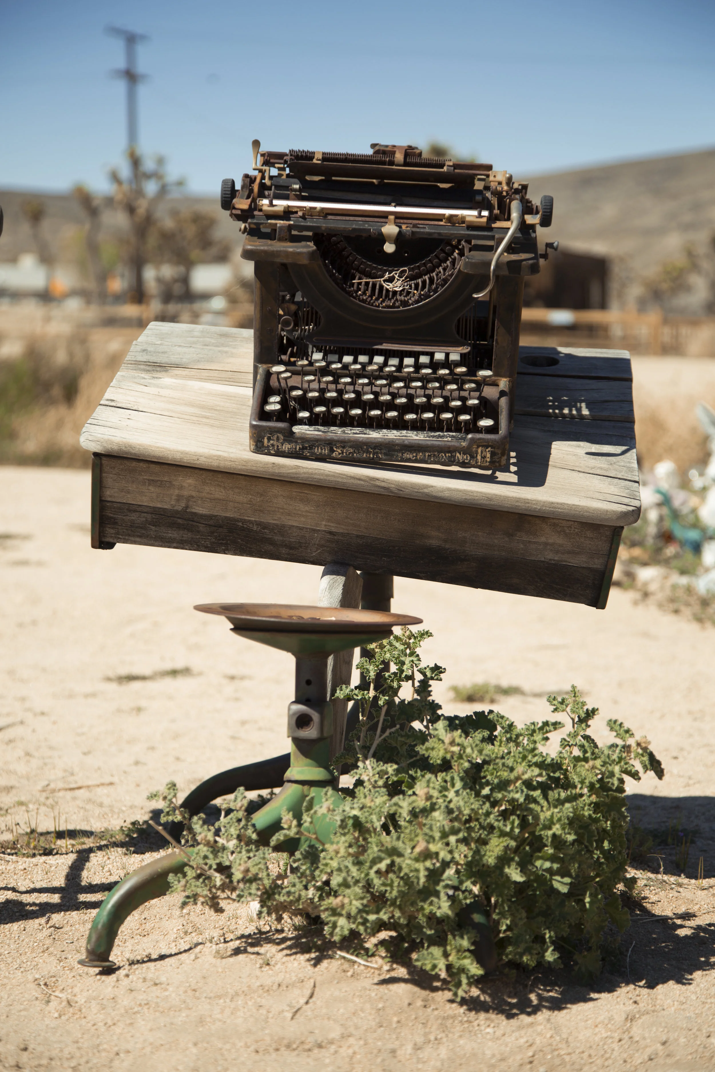 Joshua Tree, California