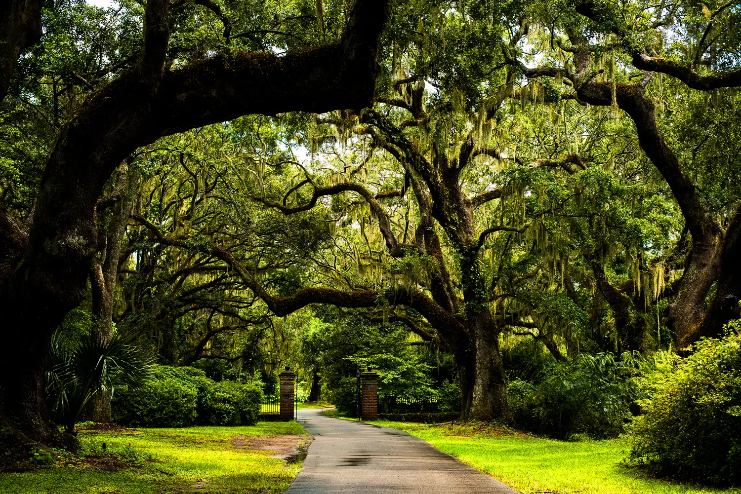 Charles Towne Landing, South Carolina