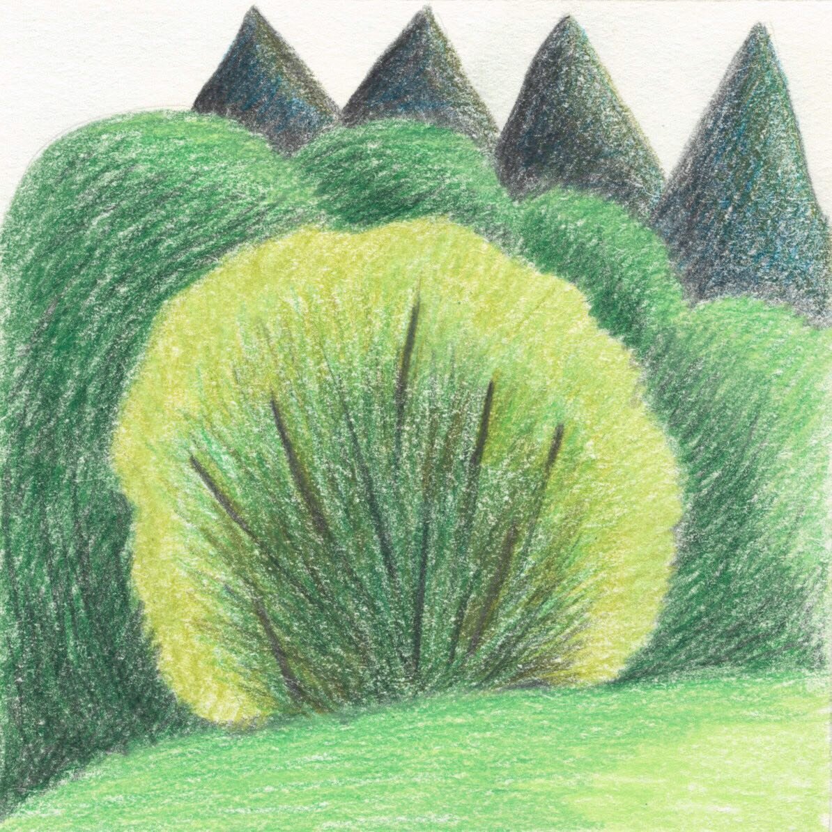 Daily tiny drawing&hellip;green, green, green

#dailydrawing #coloredpencil #carandache #drawinginnature