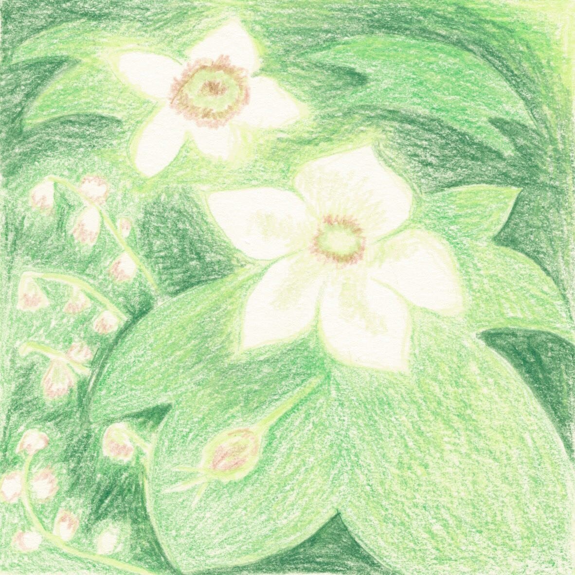 Daily drawing&hellip;thimbleberry and fringecup. Also, you can&rsquo;t be pro life and pro guns at the same time, you just can&rsquo;t.

#dailydrawing #nativeplants #pnwnativeplants #flowerpower #coloredpencils #dailynature