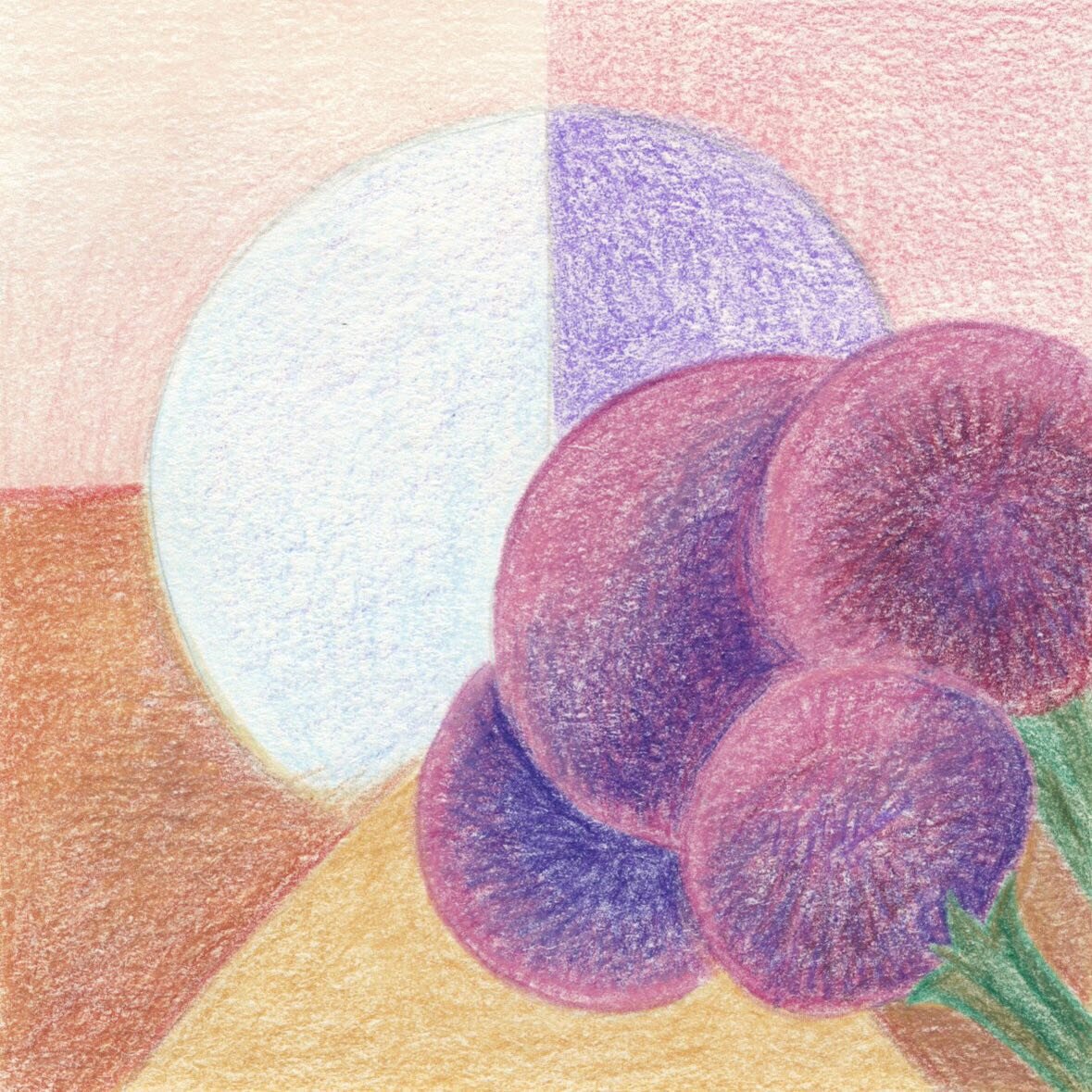 Daily tiny drawing&hellip;flowers

#dailydrawing #coloredpencils #abstractnature #geometricabstraction #hilmaafklint