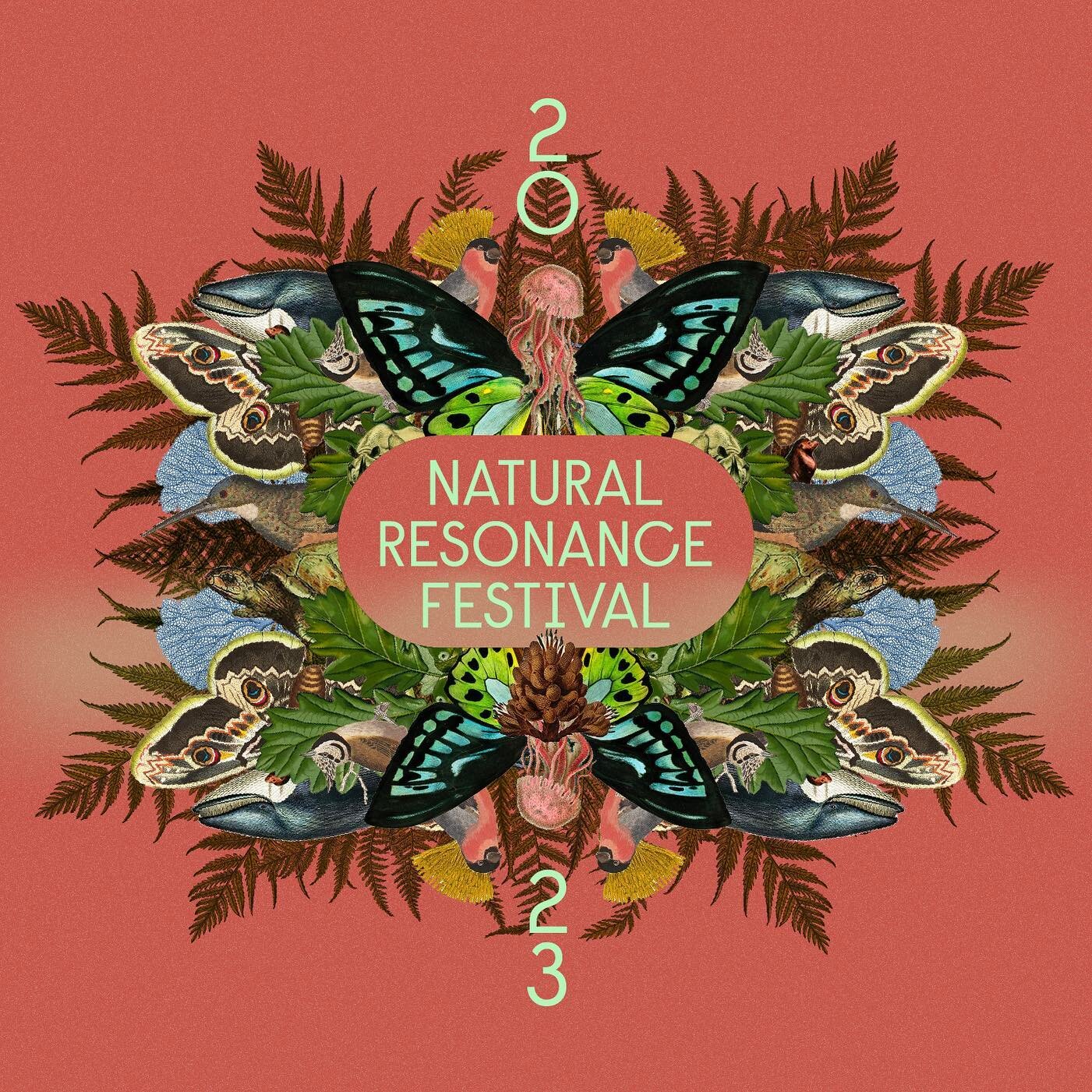 Hey there artists, musicians, poets, and other folk, is your creative practice inspired by nature, or made in relationship with the more-than-human world?

The second annual Natural Resonance Festival is now open to applicants! Visit @naturalresonanc