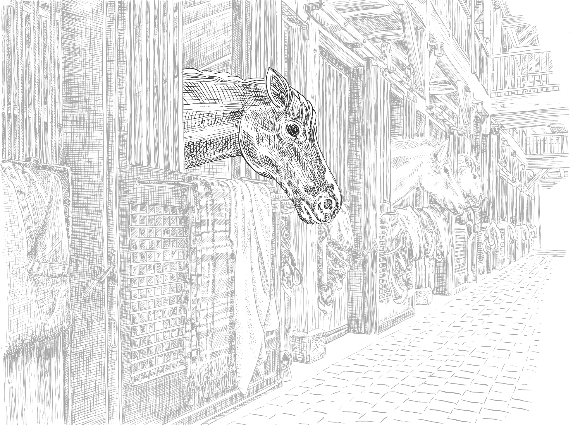  Each season at Weston Table, new illustrations, done by Liz in pen and ink and watercolor and then animated, are part of a completely refreshed homepage design that has become a signature of the brand. 