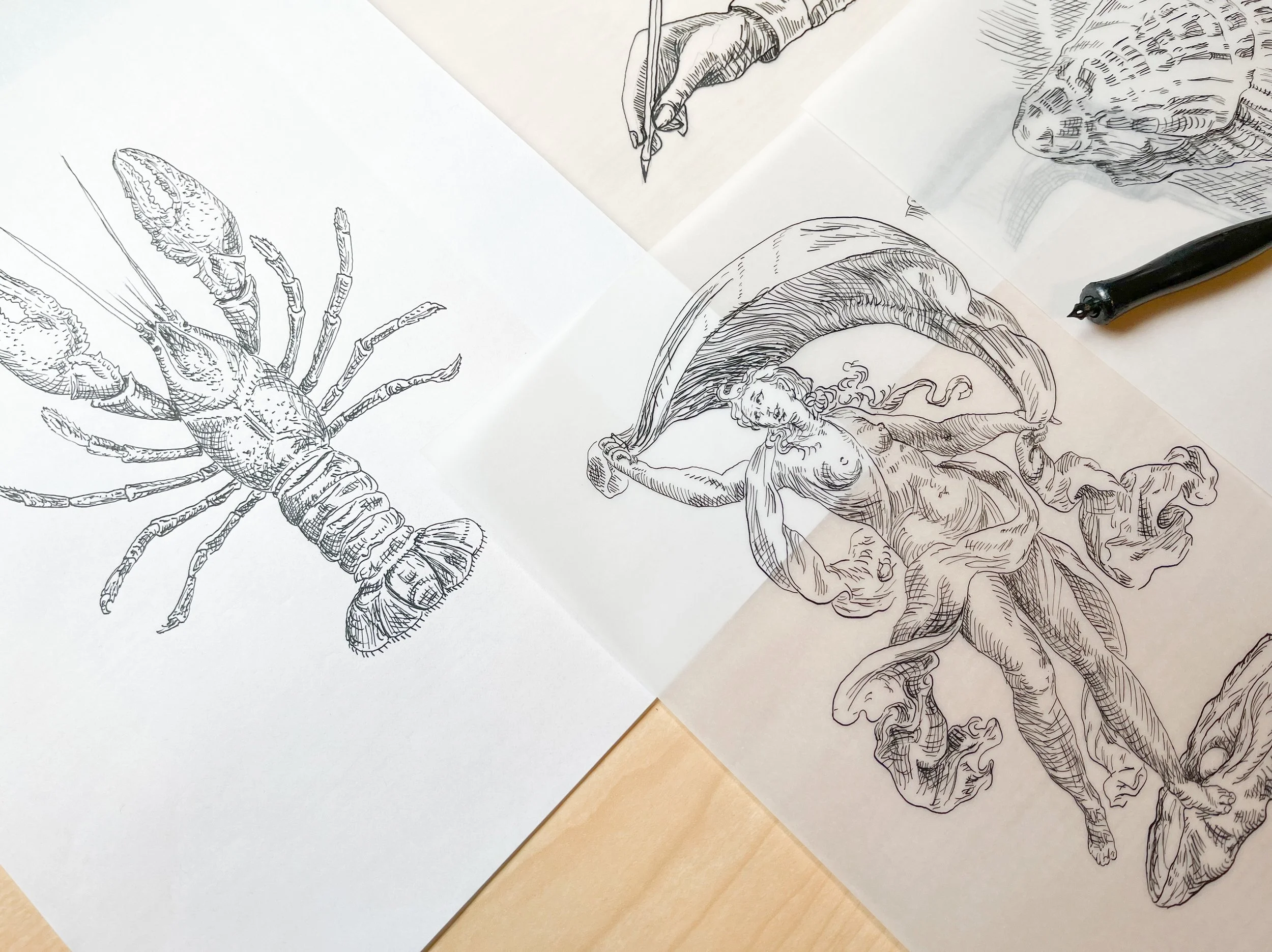 Oyster_lobster_illustration_Weston_Table.jpg