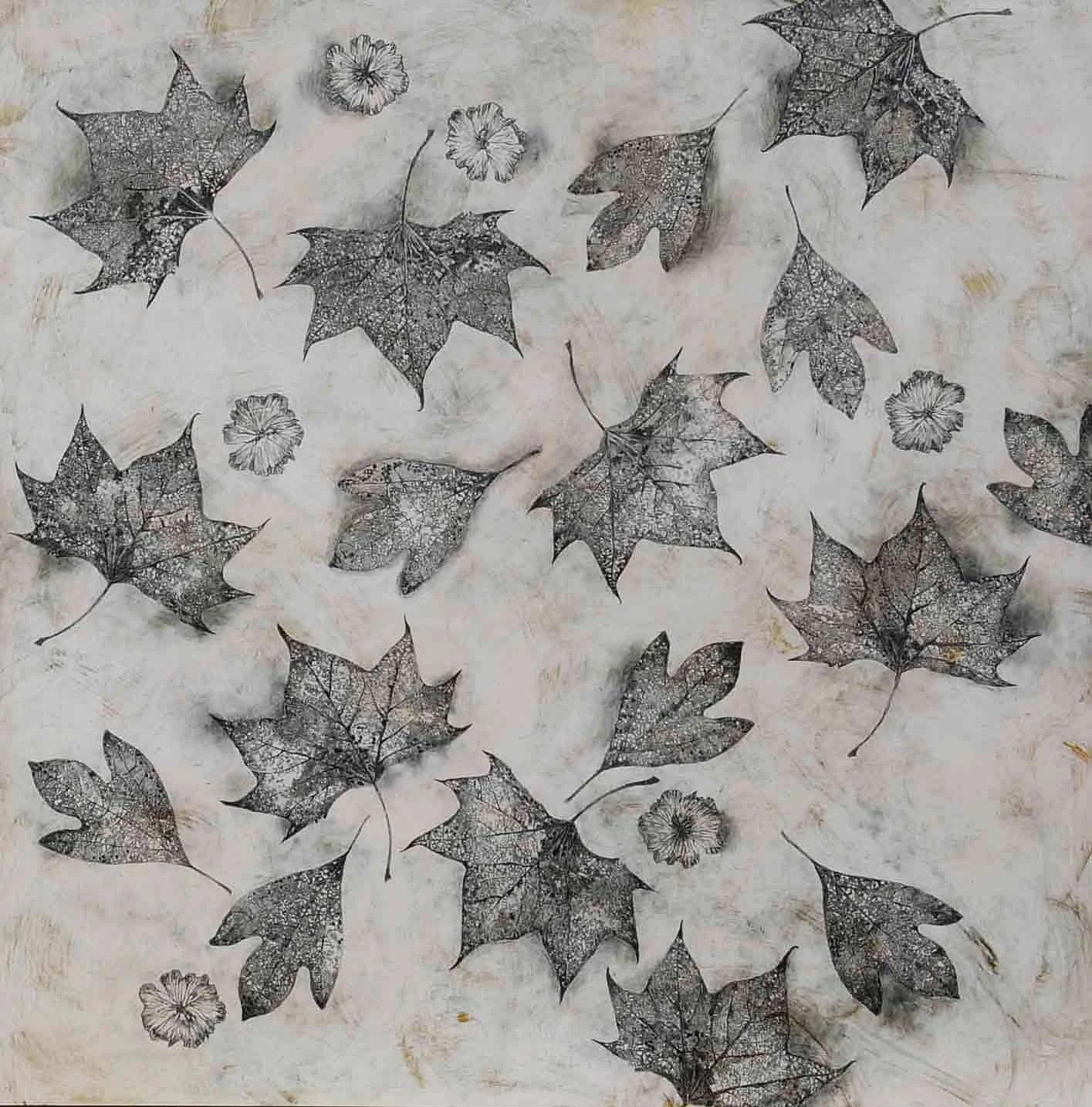 Graphite Series Sycamore, acrylic and graphite on panel, 30x30