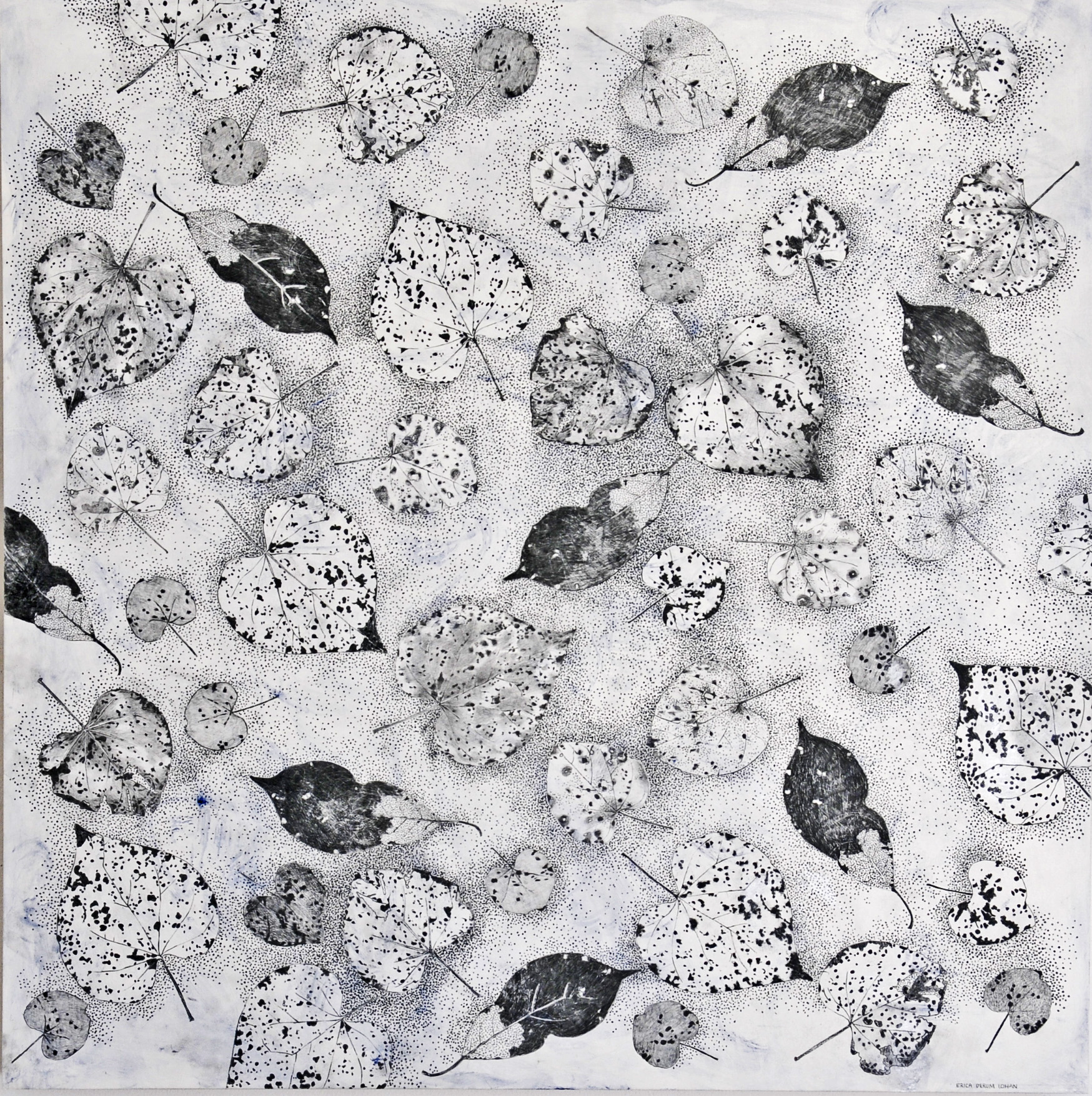 Graphite Series Vine, acrylic and graphite on panel, 30x30