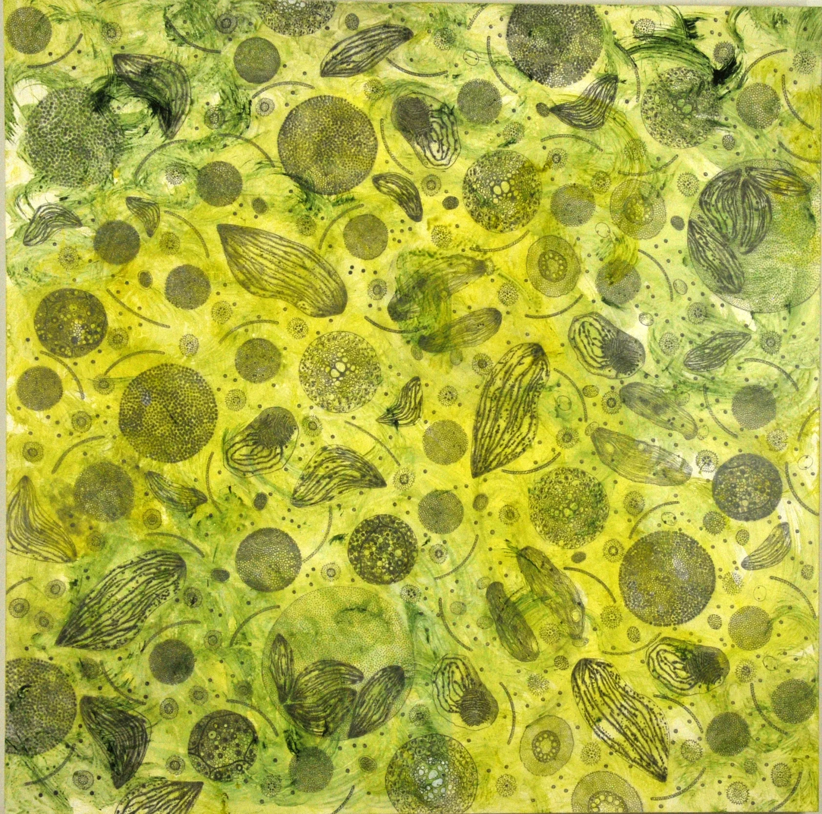 Plant Cell Patterns #3, acrylic and graphite on panel, 30x30