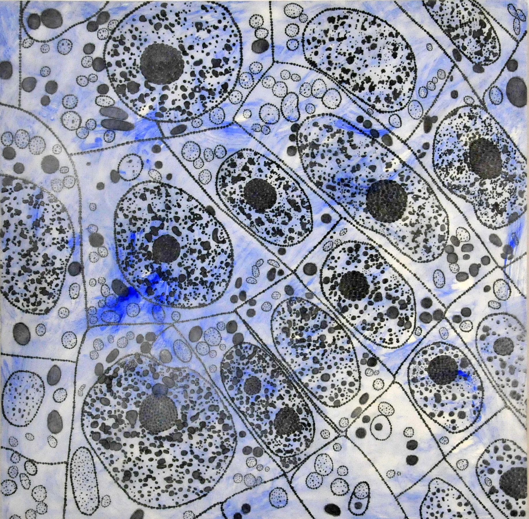 Plant Cell Patterns #5, acrylic and graphite on panel, 24x24