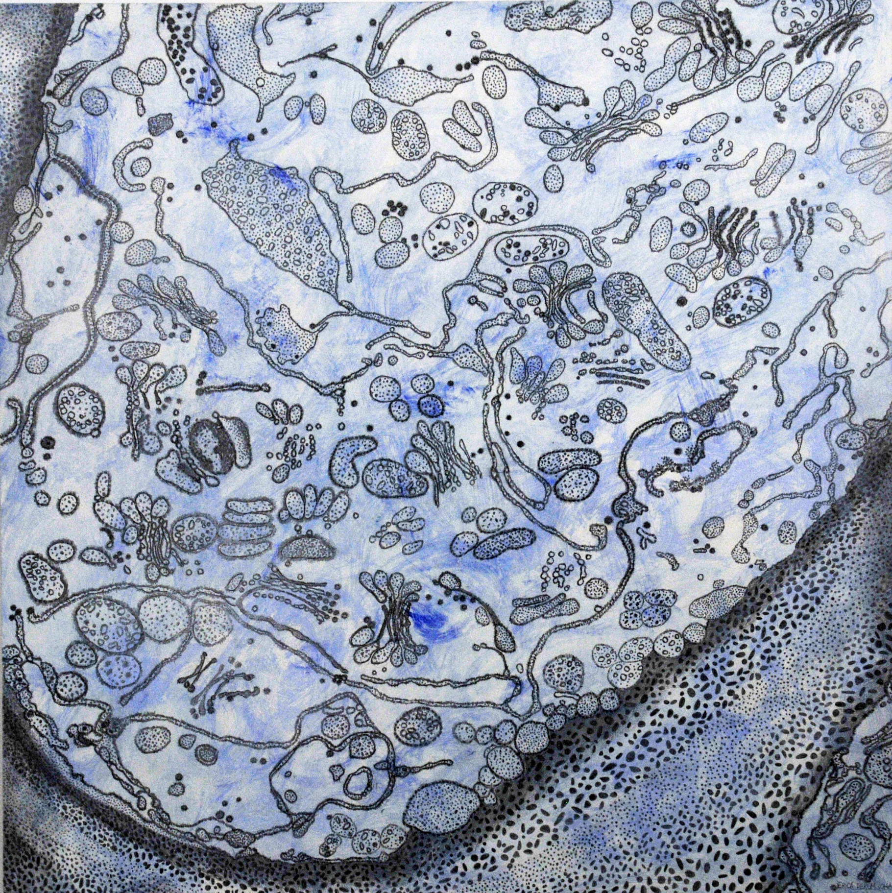   Plant Cell Patterns #7, acrylic and graphite on panel,&nbsp;24x24   