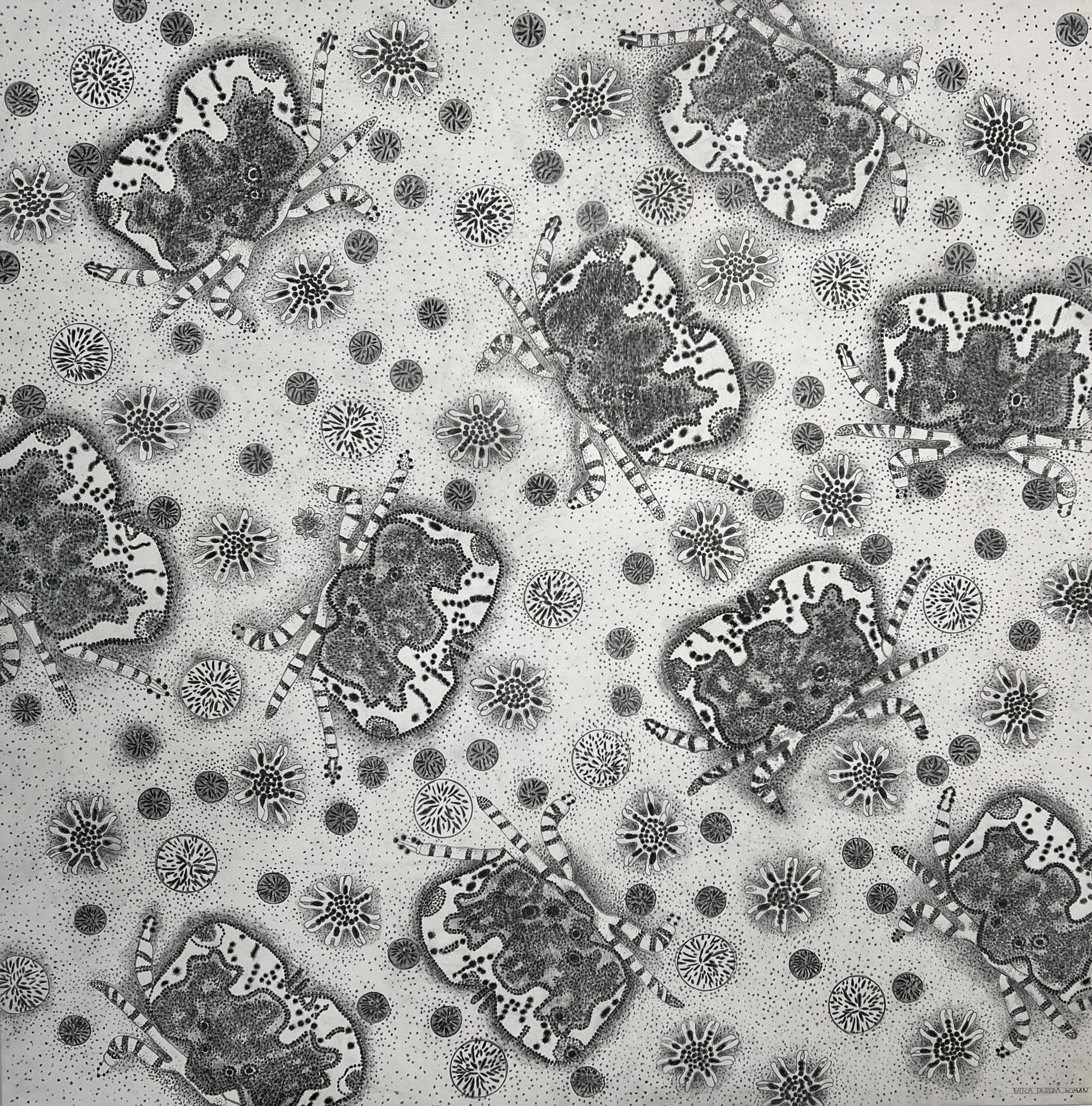 Crustaceans, acrylic and graphite on panel, 30x30