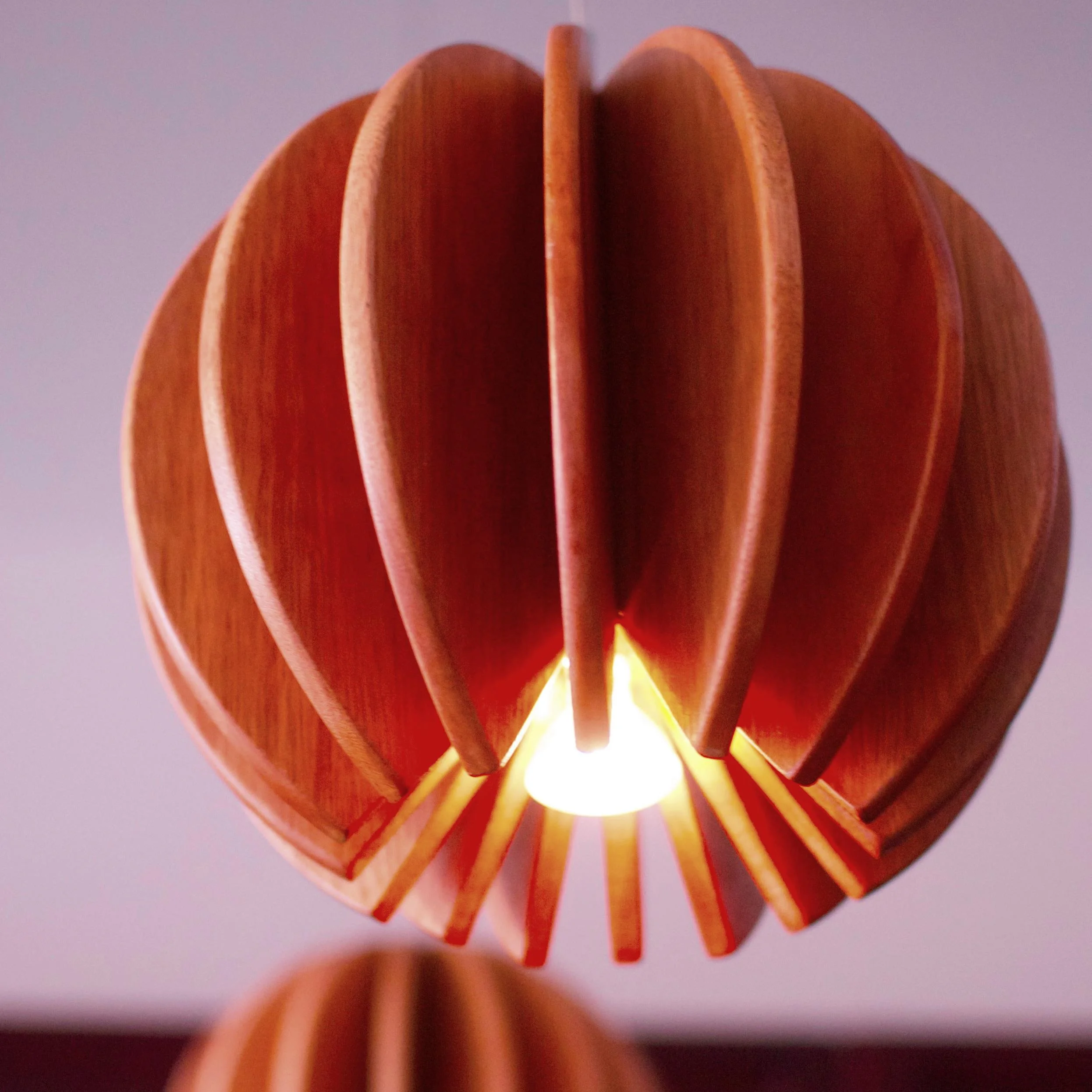 Pendant Light_hanging 19.jpg