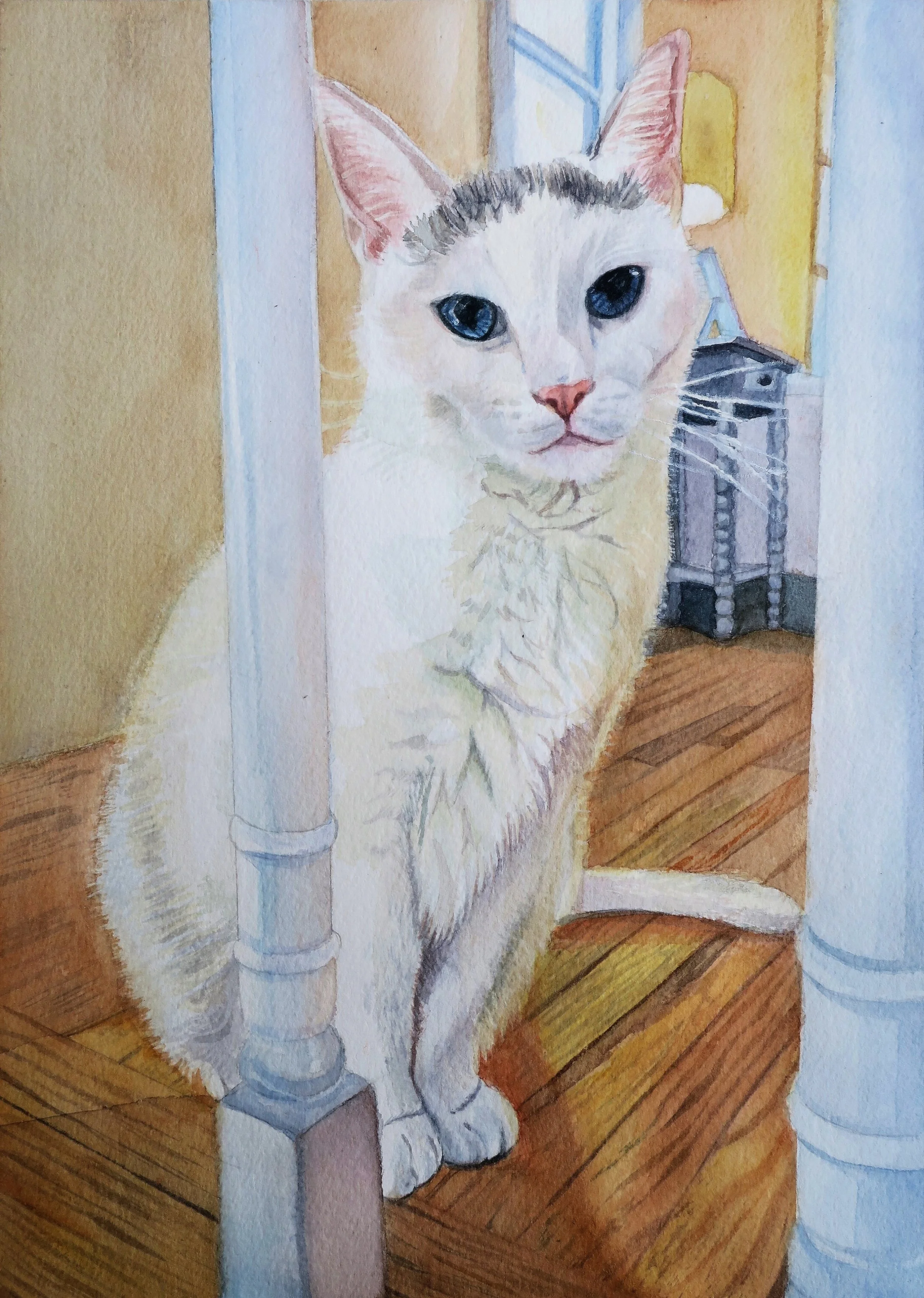 Nala high res.jpg