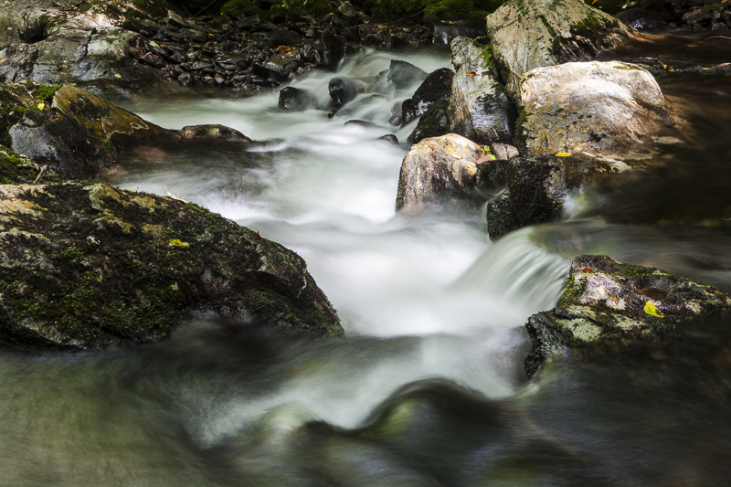 Of Water and Rock