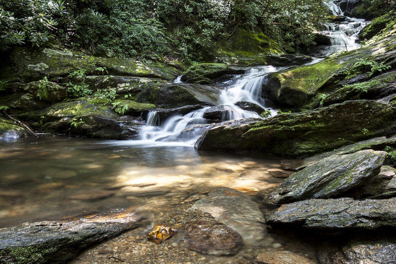 Roaring Falls II