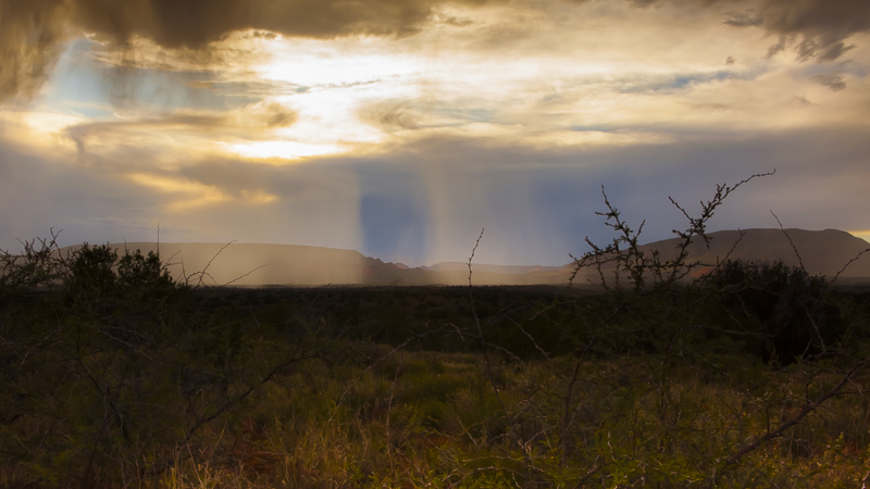 Sun and Rain II