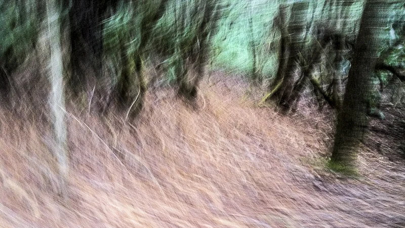 Capturing Wind on a Birthday