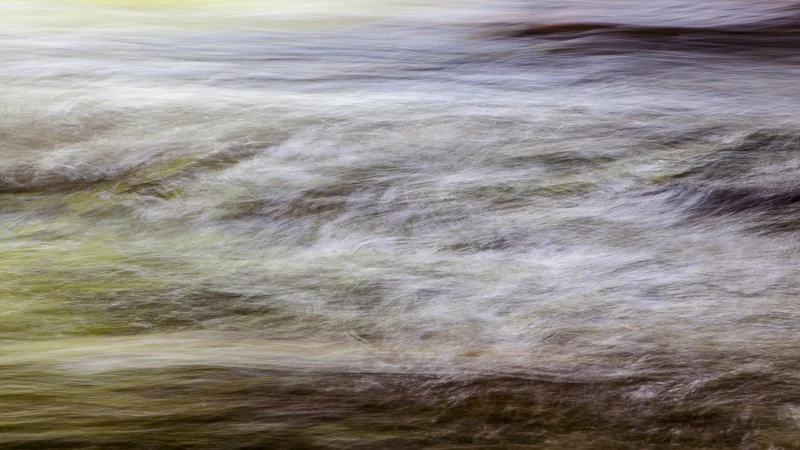 Fresh Waters