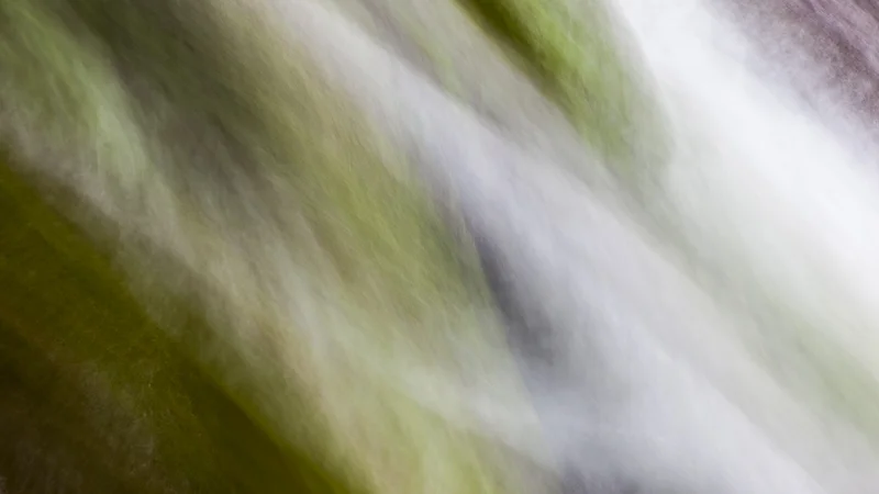 Green Study Abstract Five