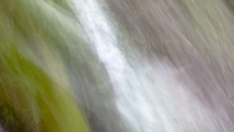 Green Study Abstract One