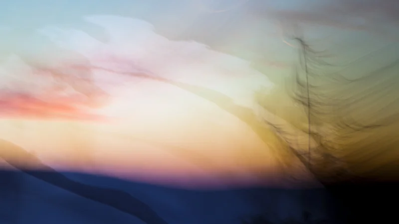 Sunset Tree Snow