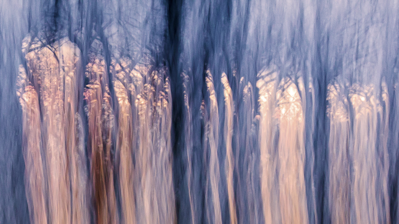 Awashed in the Evening's Delight