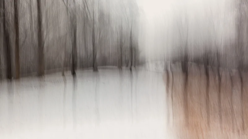 Reflection of Winter