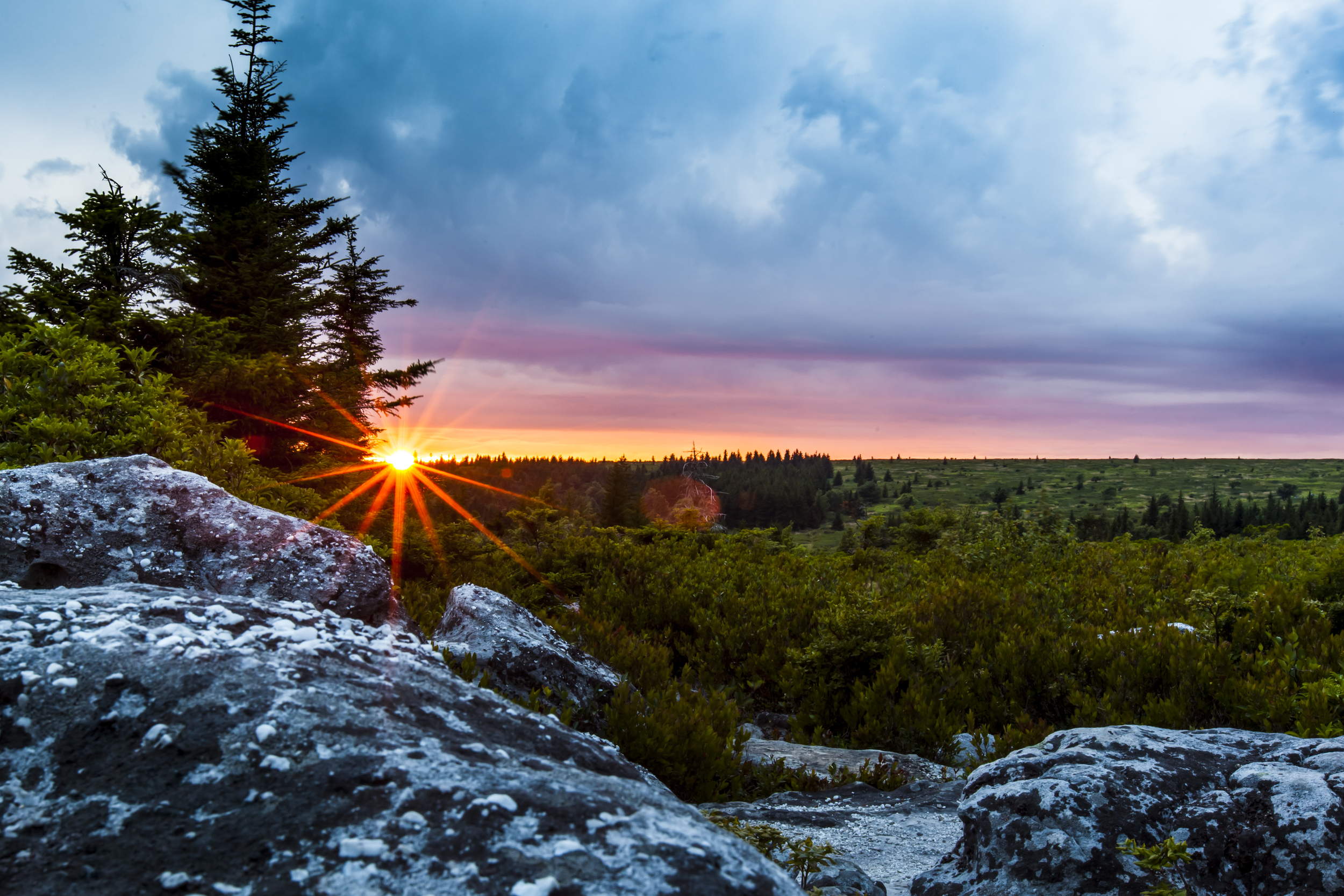 Dolly Sods Sunset