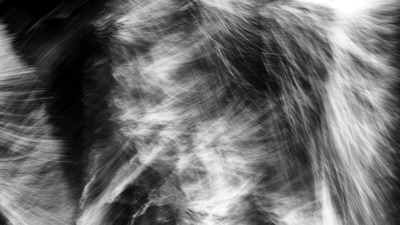 X-Ray