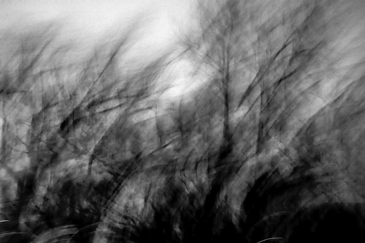 Midnight Winds