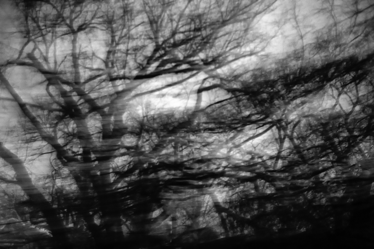 Words In The Sky