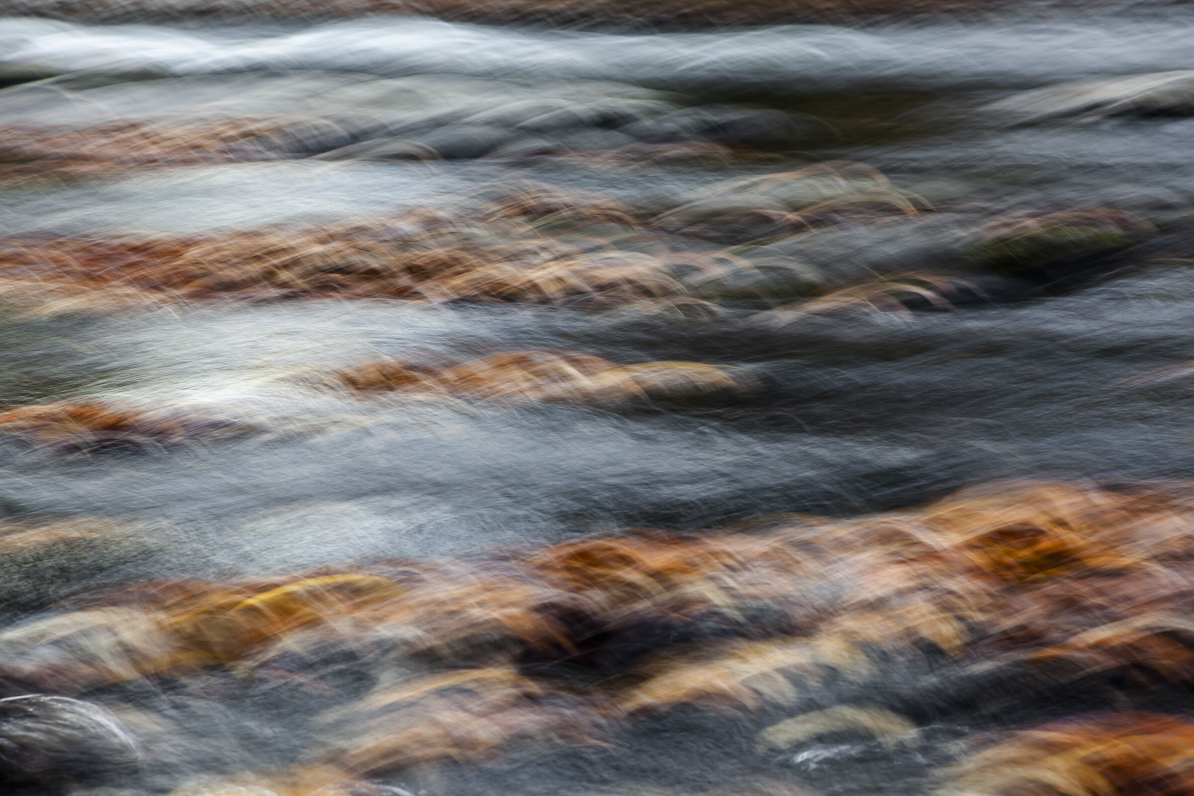 Leaves In Water