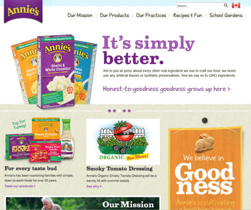 annies home page.png