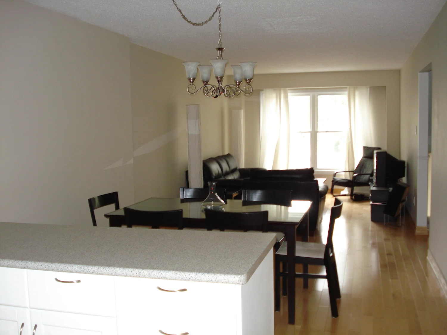 Living and Dining Room (1).JPG