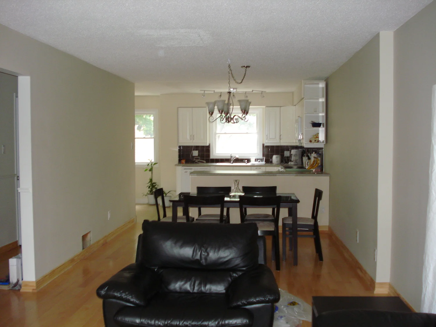 Living and Dining Room (5).JPG