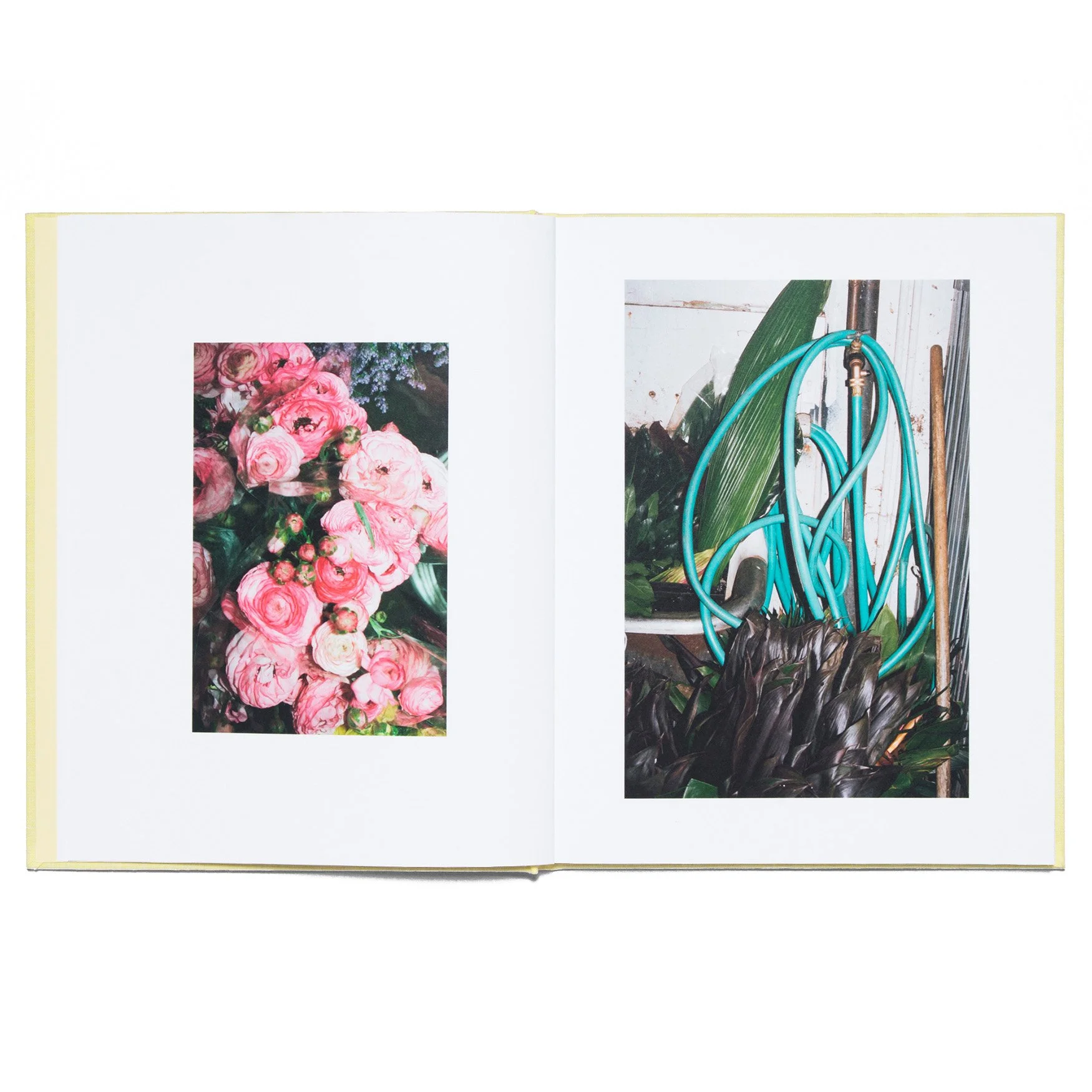 LA_Flower_Market_Book_Detail_4_1920x.jpg