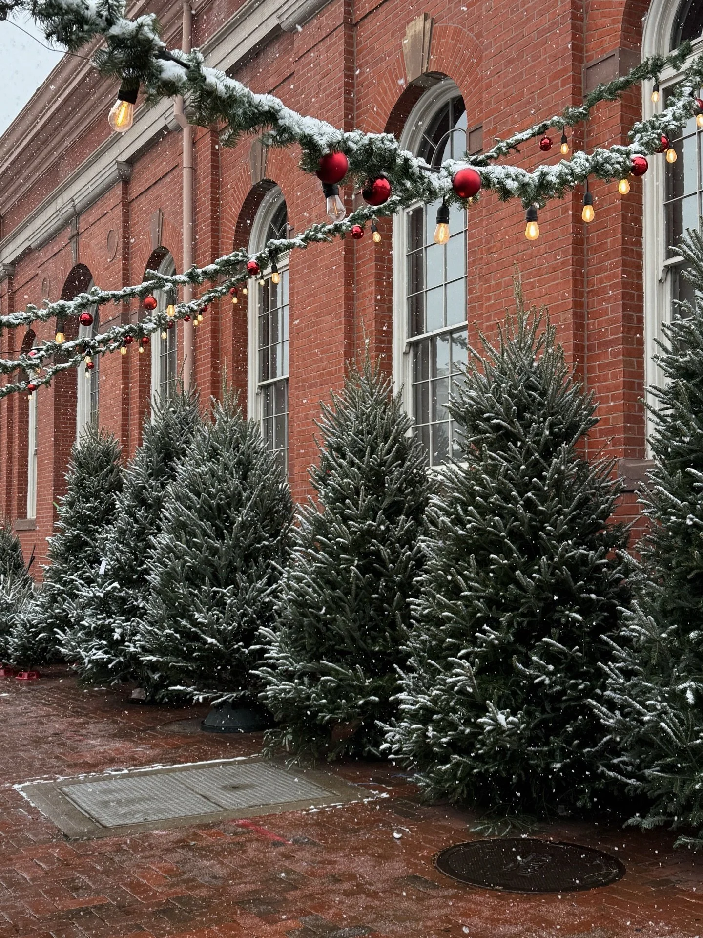 So close to Christmas! 🎄 DC is pretty special during the holidays. Excited to continue making memories here.