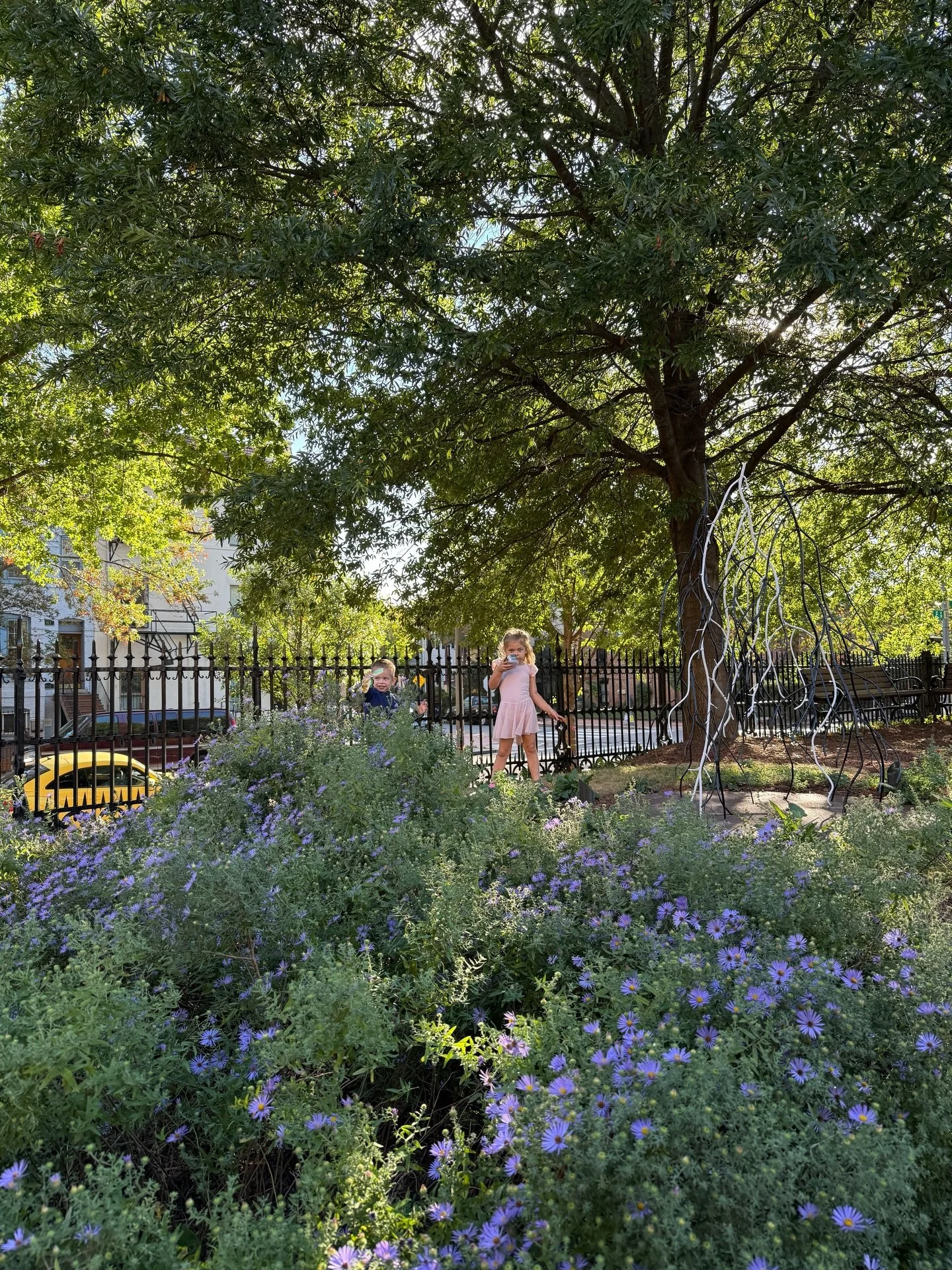 Q4. Lots of dancing and exploring in our new garden/neighborhood. Enjoyed the cooler days but did not slow down on ice cream! A beautiful long weekend in Virginia and a family trip to Chicago for my SIL&rsquo;s wedding. Halloween on the Hill and proj