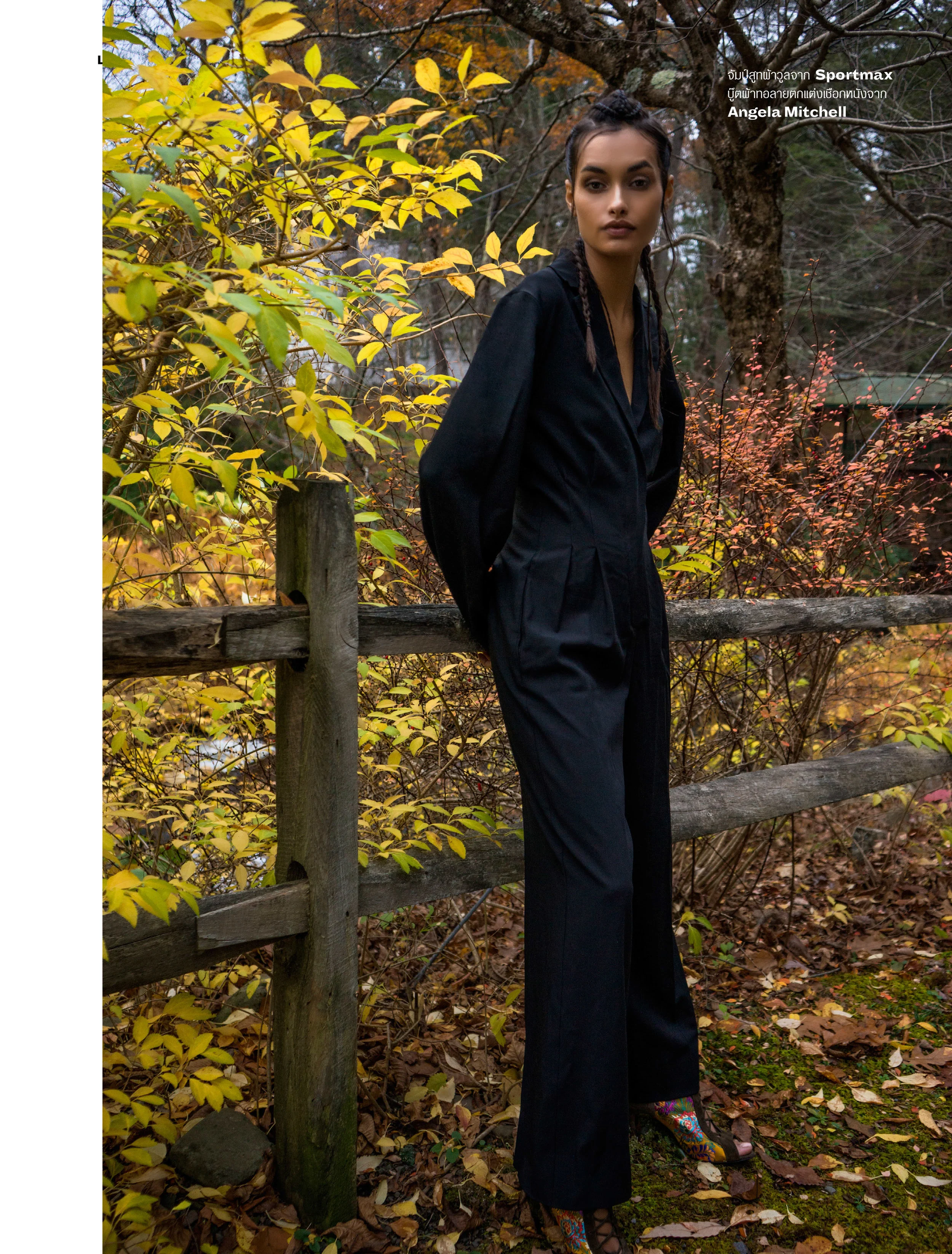 into the wood 3.jpg